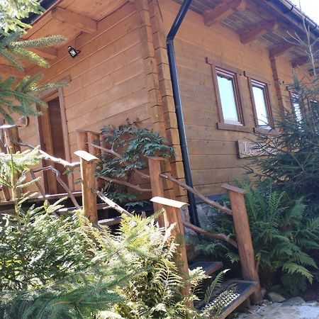 Apartament Nad Potokiem Visla Exteriér fotografie