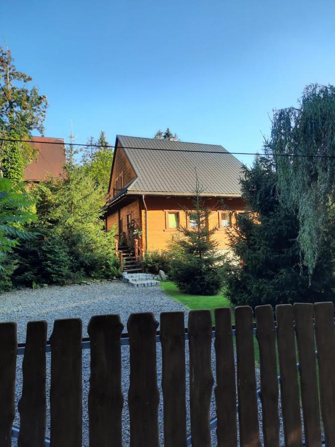 Apartament Nad Potokiem Visla Exteriér fotografie