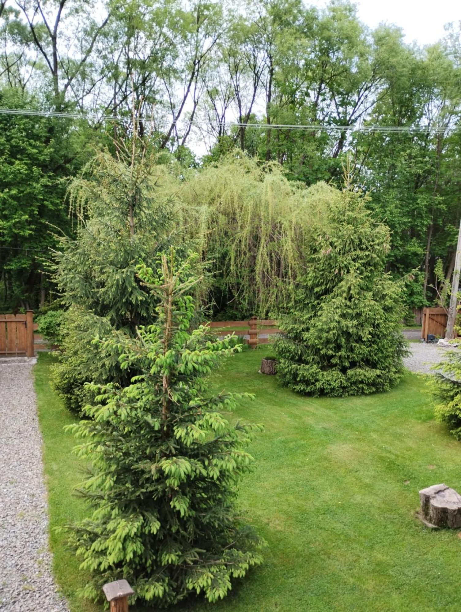 Apartament Nad Potokiem Visla Exteriér fotografie